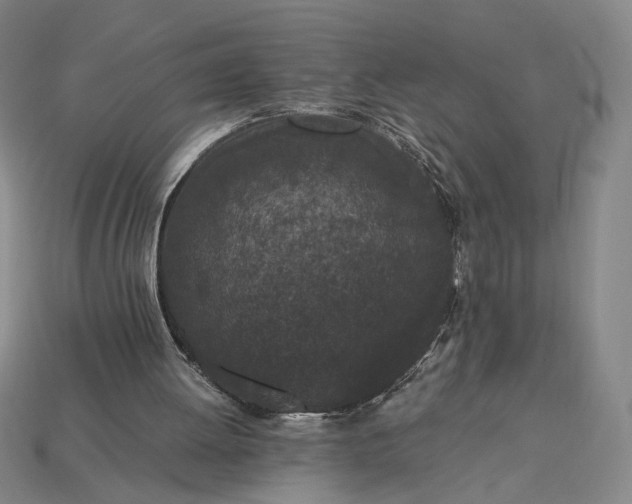 X0000115260052200911131755