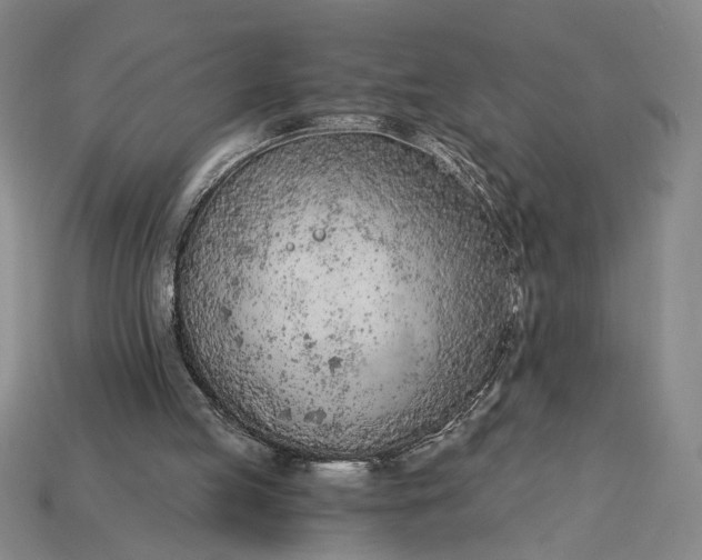 X0000115260053200911131755