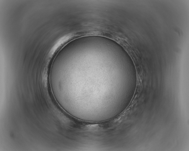 X0000115260054200911131755