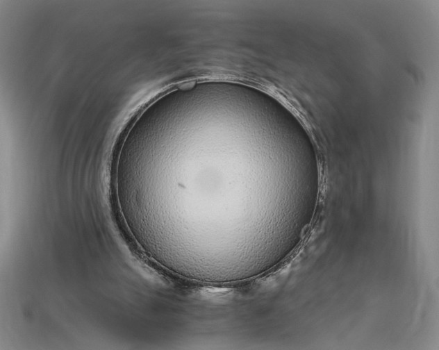 X0000115260055200911131755