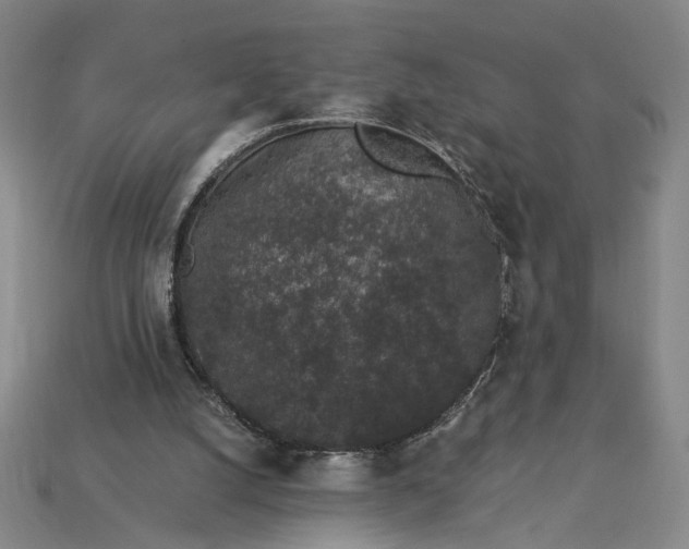 X0000115260056200911131755