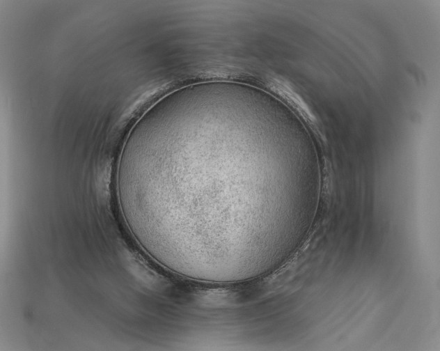 X0000115260058200911131755