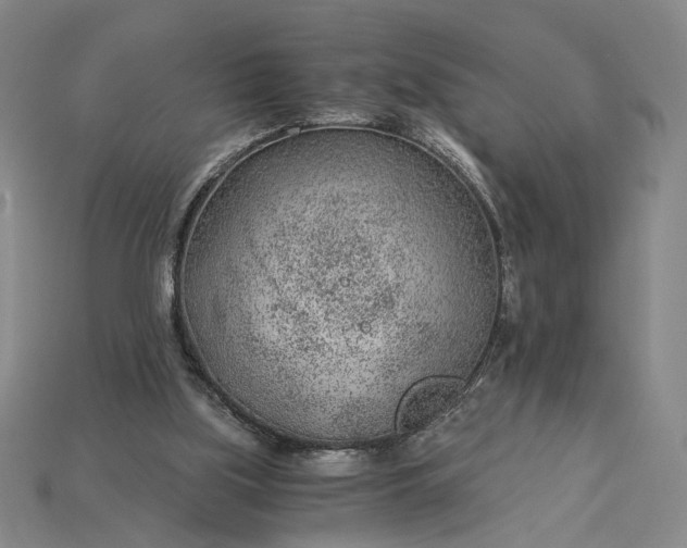 X0000115260059200911131755