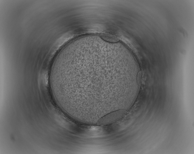 X0000115260060200911131755