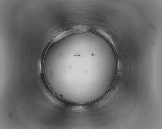 X0000115260061200911131755