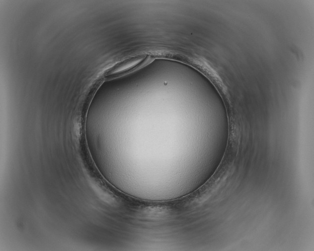 X0000115260063200911131755
