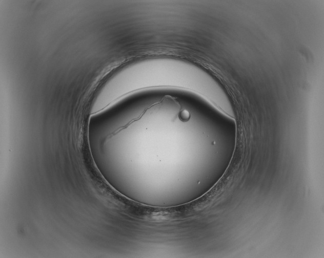X0000115260064200911131755