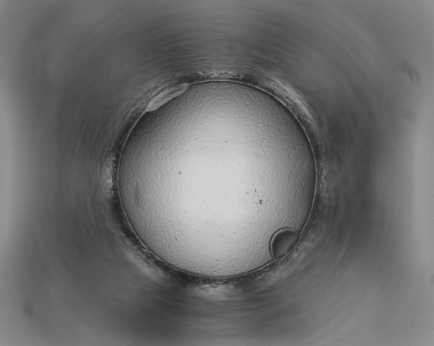 X0000115260065200911131755