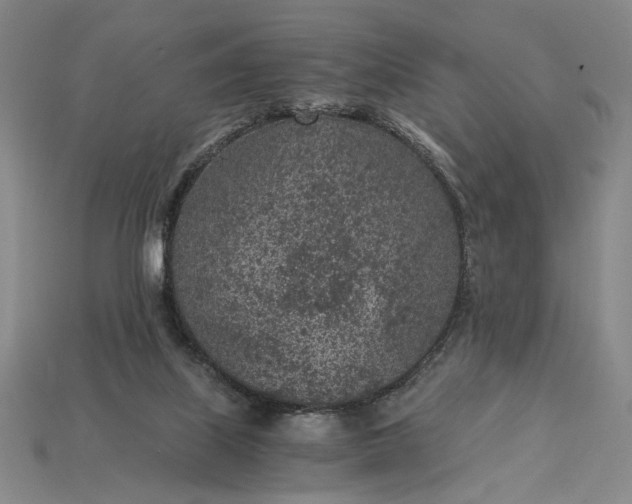 X0000115260067200911131755