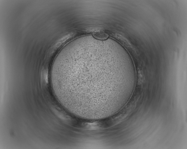 X0000115260068200911131755