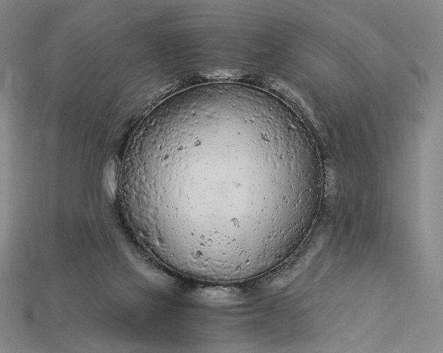 X0000115260069200911131755