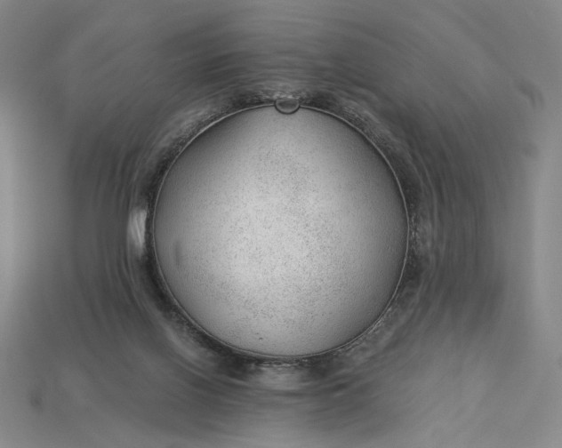 X0000115260070200911131755