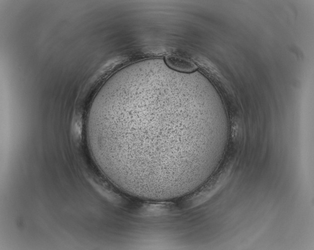X0000115260072200911131755