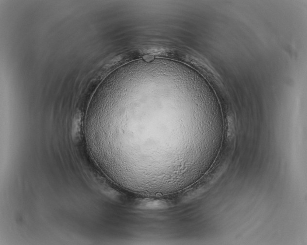 X0000115260073200911131755
