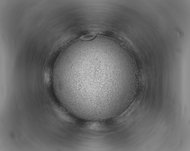 X0000115260074200911131755