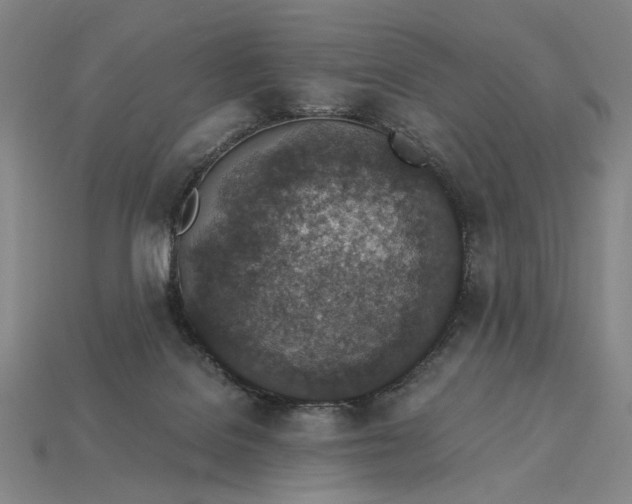 X0000115260076200911131755