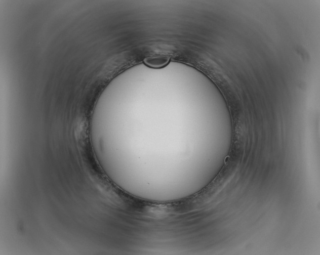 X0000115260079200911131755