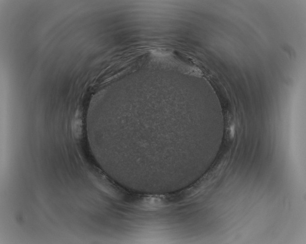 X0000115260080200911131755