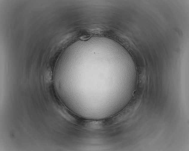 X0000115260081200911131755