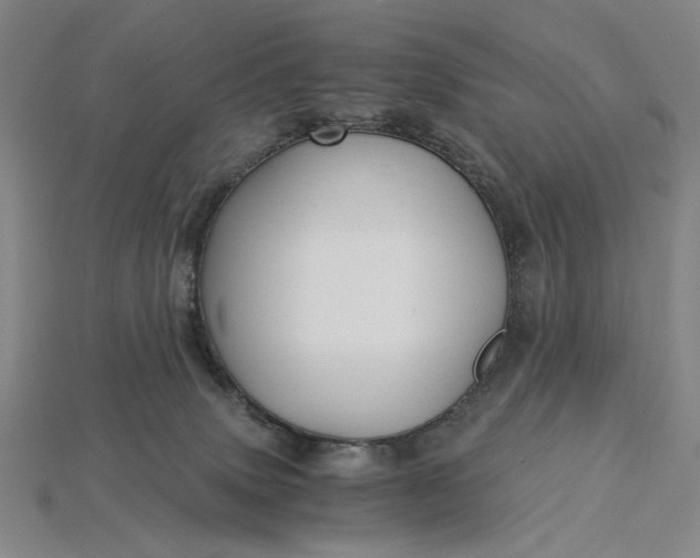 X0000115260083200911131755