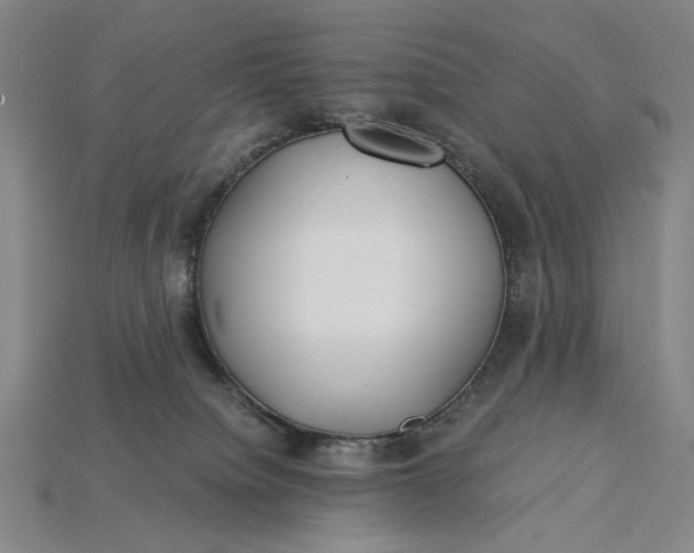 X0000115260084200911131755