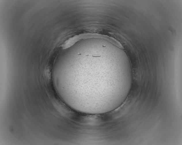 X0000115260086200911131755