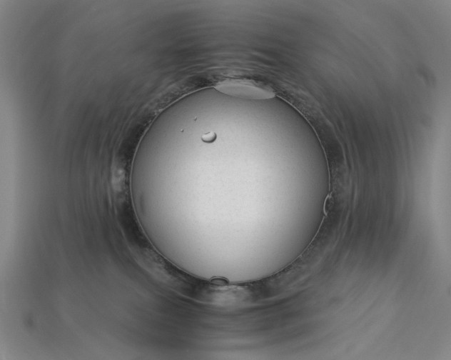 X0000115260087200911131755
