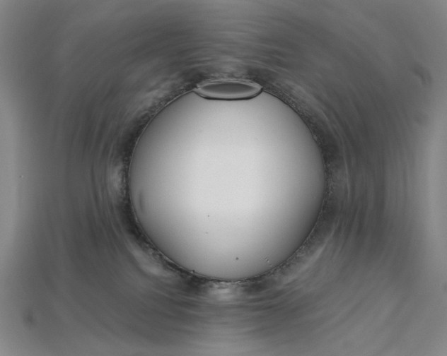 X0000115260088200911131755