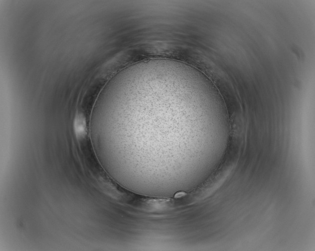 X0000115260089200911131755