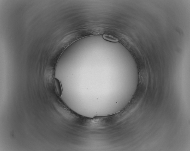 X0000115260092200911131755