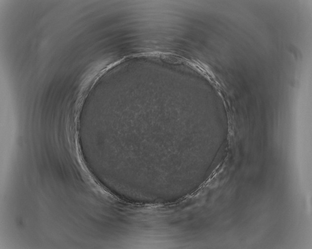 X0000115260097200911131755