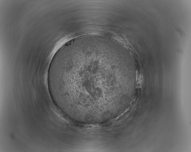 X0000115260099200911131755