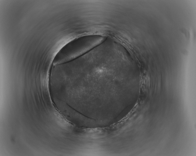 X0000115260100200911131755