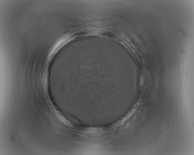 X0000115260101200911131755