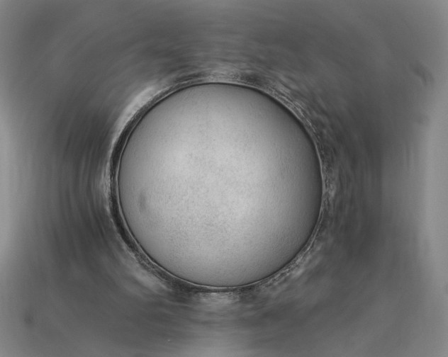 X0000115260102200911131755