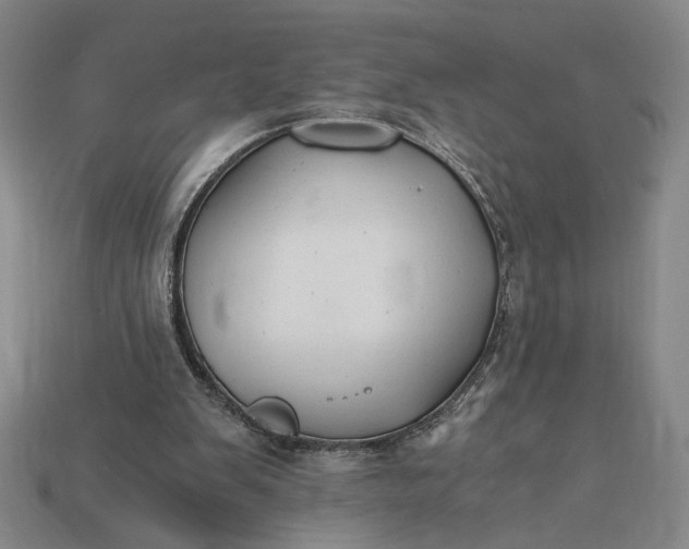 X0000115260103200911131755
