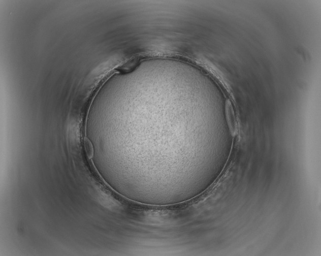 X0000115260105200911131754