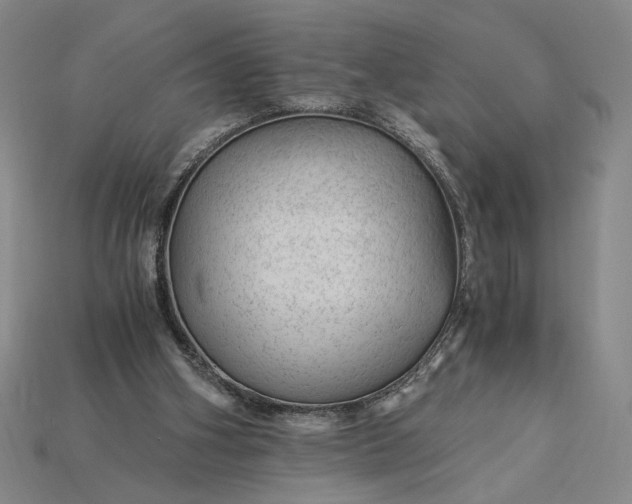 X0000115260106200911131754