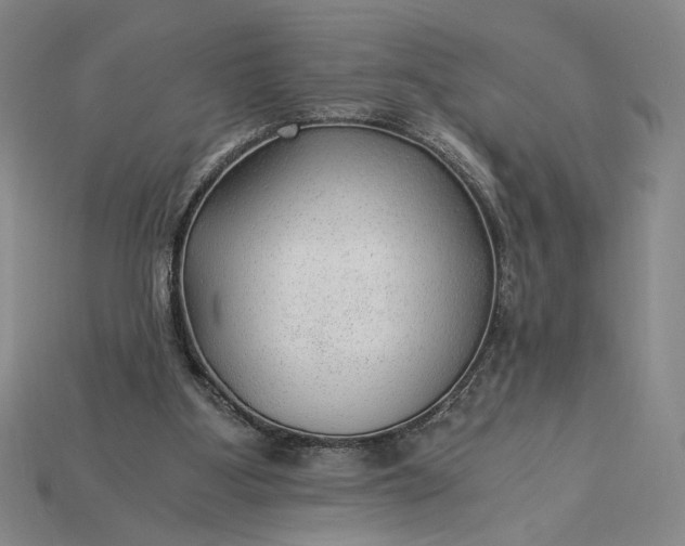 X0000115260107200911131754