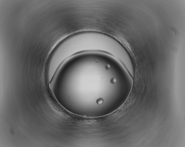 X0000115260108200911131754