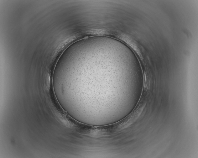 X0000115260109200911131754