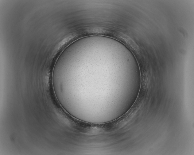 X0000115260111200911131754