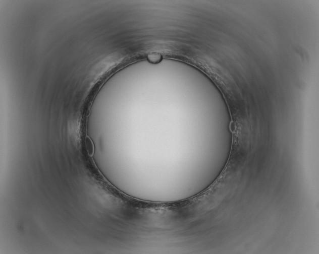 X0000115260112200911131754