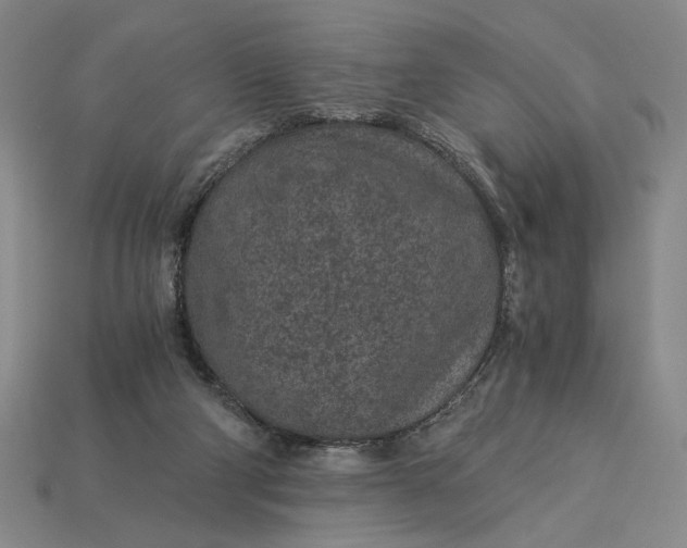 X0000115260114200911131754