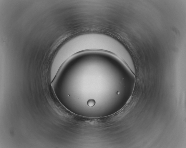 X0000115260116200911131754