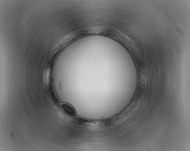 X0000115260118200911131754