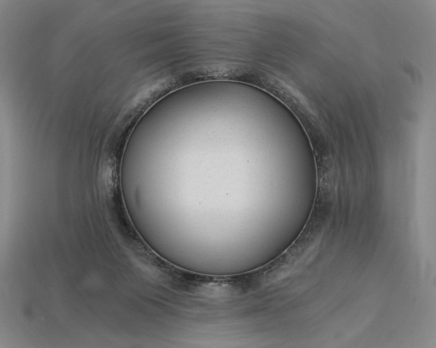 X0000115260119200911131754