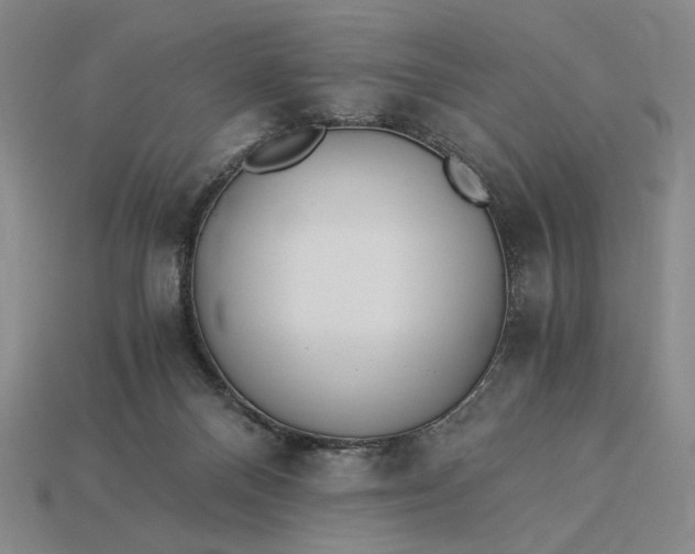 X0000115260120200911131754