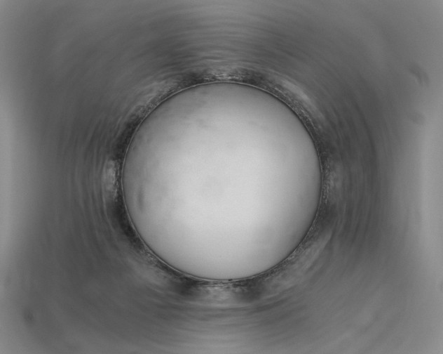 X0000115260121200911131754