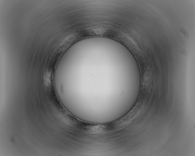 X0000115260122200911131754